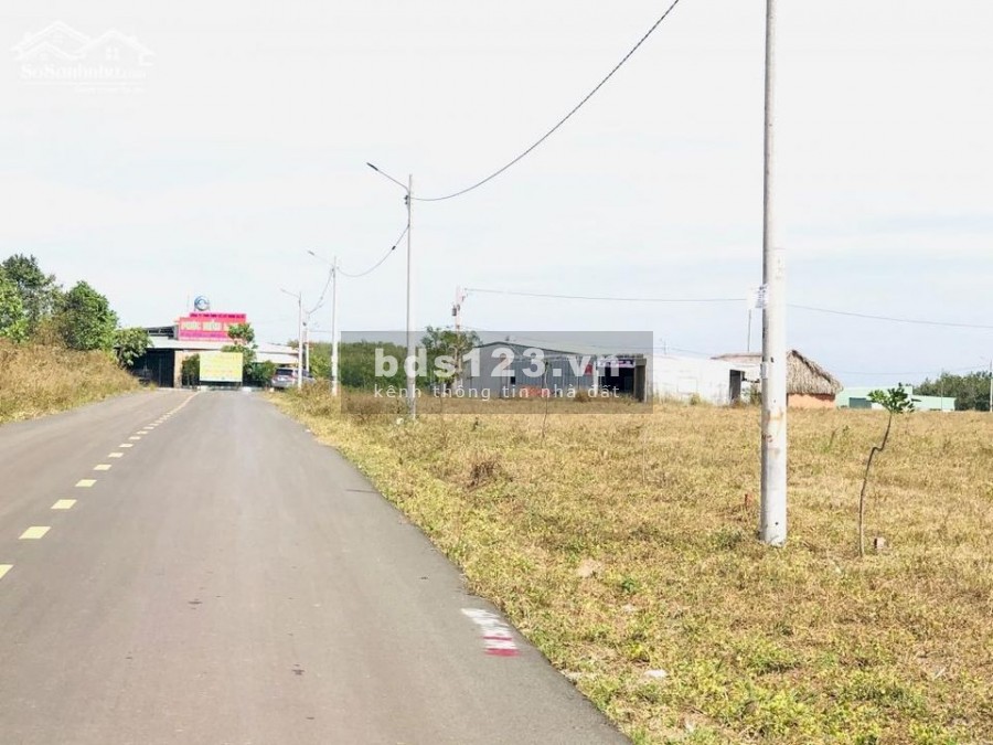Cần tiền mua bò bán gấp 3000m2, ngay tại khu công nghiệp becamex Chơn Thành
