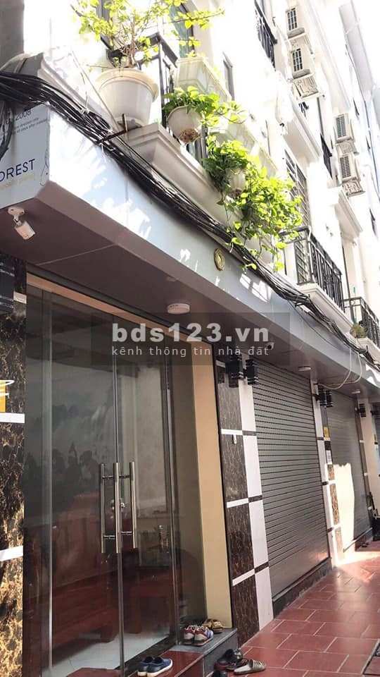 Bán gấp nhà mặt Phố Hoàng Mai Tặng lại full nội thất. DT 33m2 4 tầng Giá 3.2 tỷ