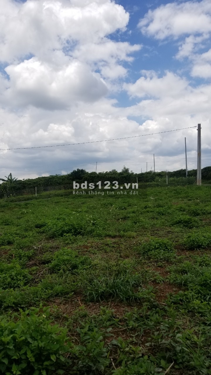 chính chủ bán 110m2 mt đường nguyễn văn cừ,SHR, cách ql l20 2km,giá 760tr