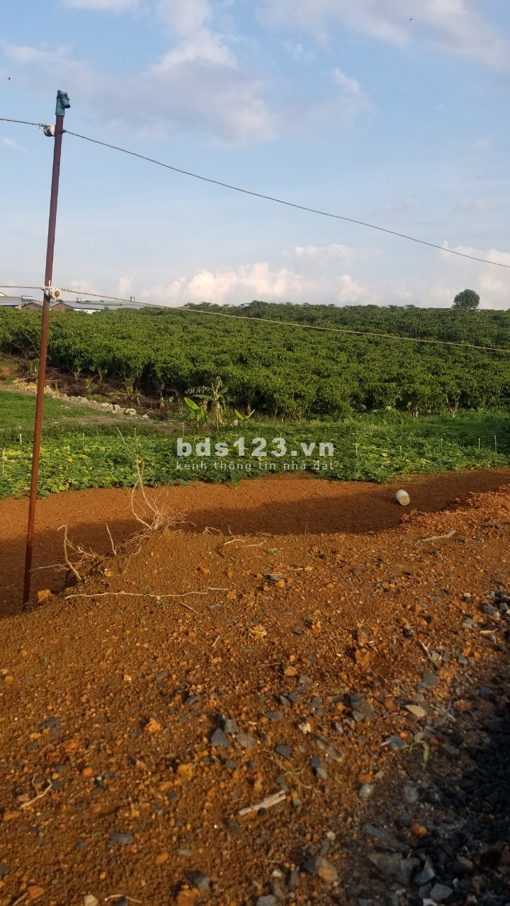chính chủ bán 110m2 mt đường nguyễn văn cừ,SHR, cách ql l20 2km,giá 760tr
