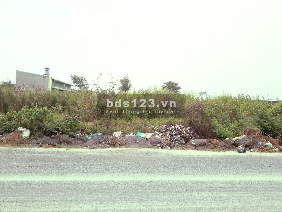CHO THÊ ĐẤT TRỐNG GIÁ RẺ, ĐƯỜNG LỚN 44M, ĐỨC HOÀ, LONG AN