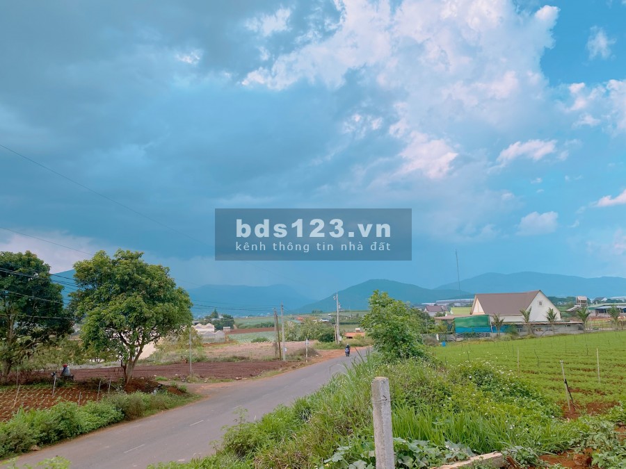Bán 10m mặt tiền Bồng Lai gía 2 tỷ 620 triệu gần Novaworld Đạ Ròn Lâm Đồng. Thuận tiện kinh doanh