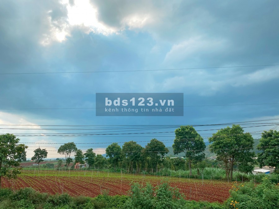 Bán 10m mặt tiền Bồng Lai gía 2 tỷ 620 triệu gần Novaworld Đạ Ròn Lâm Đồng. Thuận tiện kinh doanh