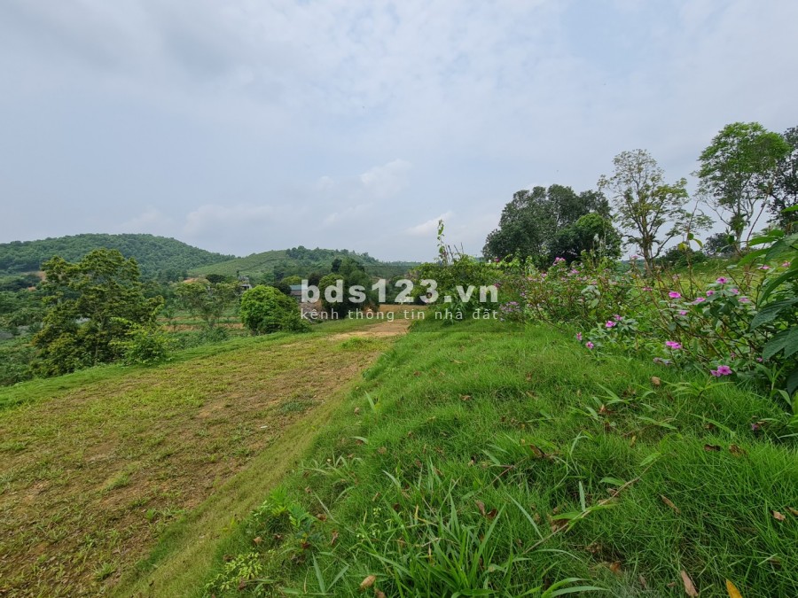 CHỈ TỪ HƠN 1 TRIỆU /M2 BẠN ĐÃ SỞ HỮU KHUÔN VIÊN CỰC ĐẸP TẠI CƯ YÊN LƯƠNG SƠN HB, TỔNG DT 4482M/200 ĐẤT Ở LH 0982876689