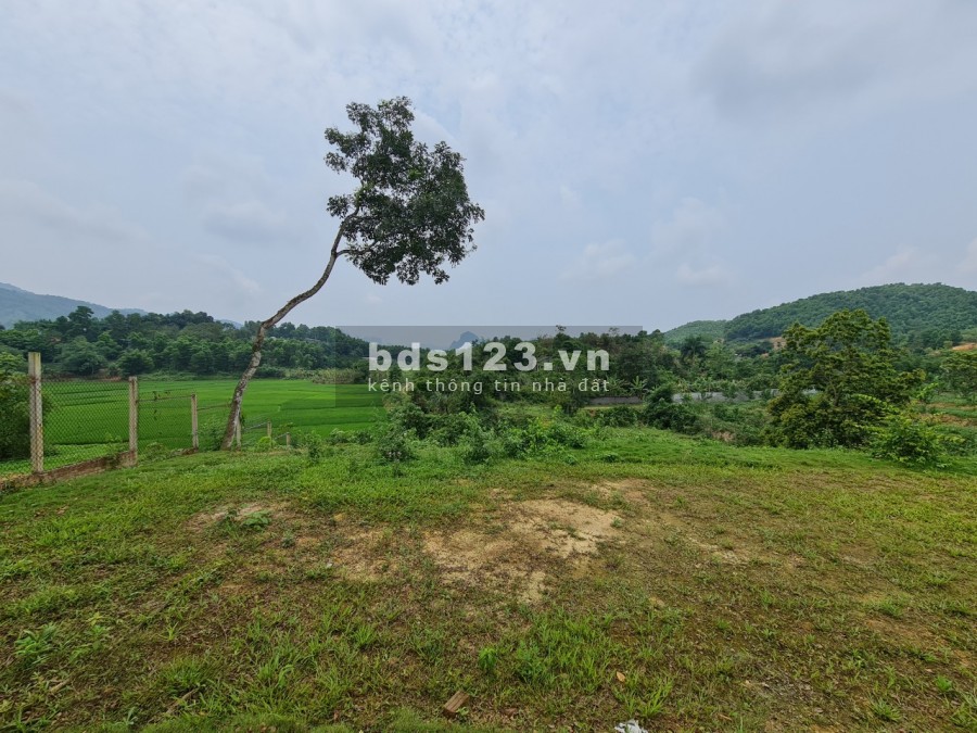 CHỈ TỪ HƠN 1 TRIỆU /M2 BẠN ĐÃ SỞ HỮU KHUÔN VIÊN CỰC ĐẸP TẠI CƯ YÊN LƯƠNG SƠN HB, TỔNG DT 4482M/200 ĐẤT Ở LH 0982876689