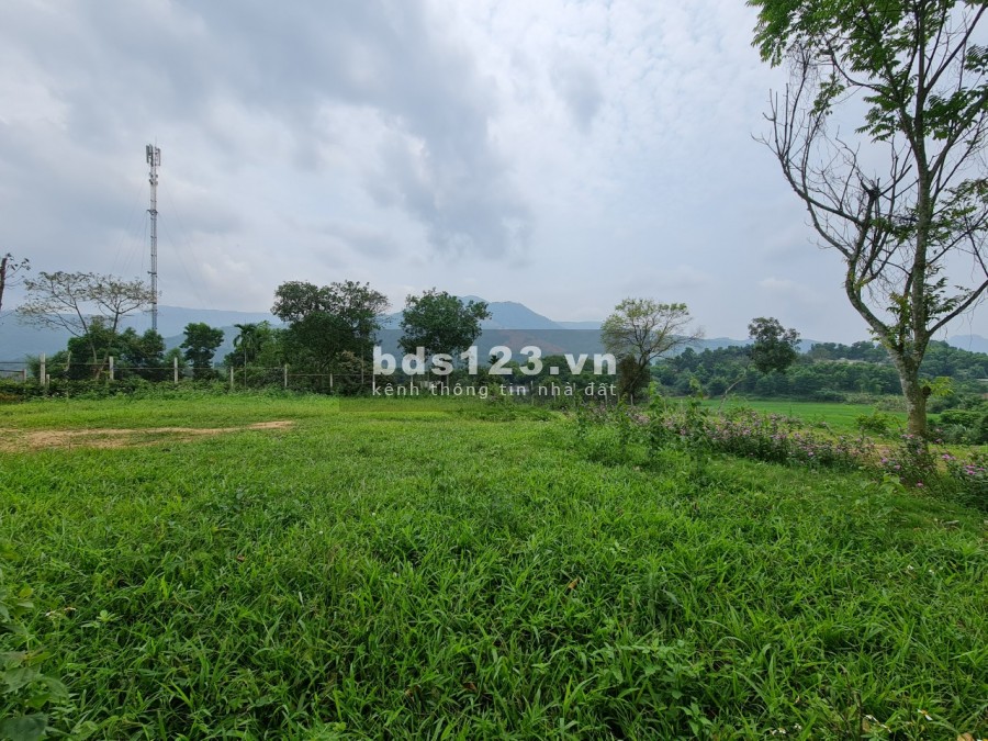 CHỈ TỪ HƠN 1 TRIỆU /M2 BẠN ĐÃ SỞ HỮU KHUÔN VIÊN CỰC ĐẸP TẠI CƯ YÊN LƯƠNG SƠN HB, TỔNG DT 4482M/200 ĐẤT Ở LH 0982876689