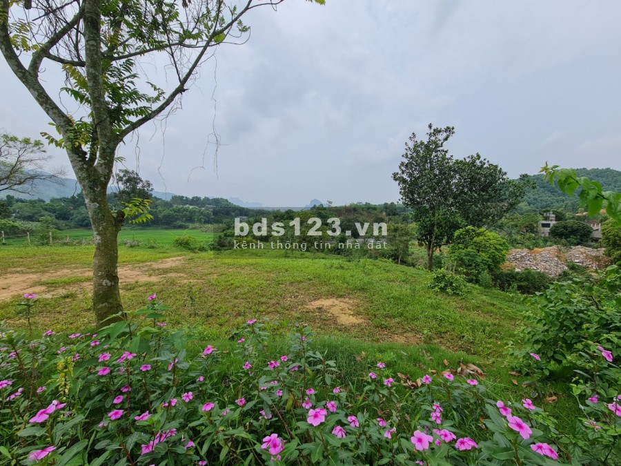 CHỈ TỪ HƠN 1 TRIỆU /M2 BẠN ĐÃ SỞ HỮU KHUÔN VIÊN CỰC ĐẸP TẠI CƯ YÊN LƯƠNG SƠN HB, TỔNG DT 4482M/200 ĐẤT Ở LH 0982876689