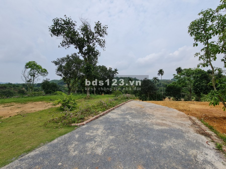 CHỈ TỪ HƠN 1 TRIỆU /M2 BẠN ĐÃ SỞ HỮU KHUÔN VIÊN CỰC ĐẸP TẠI CƯ YÊN LƯƠNG SƠN HB, TỔNG DT 4482M/200 ĐẤT Ở LH 0982876689