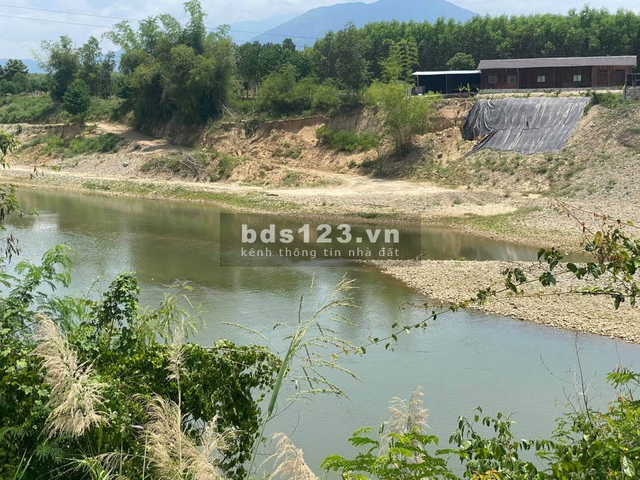 Bán vườn Sầu Riêng 1ha6 giáp Sông gần Tỉnh Lộ 2 xã Sông Cầu giá rẻ