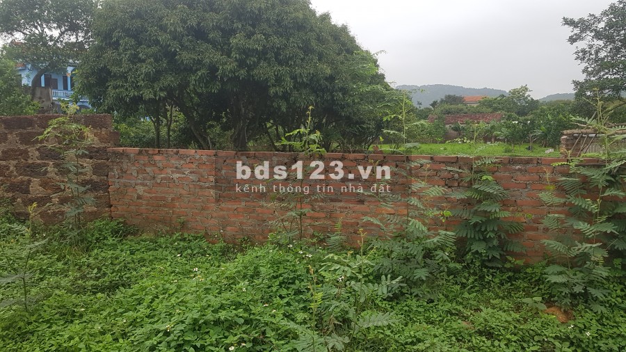 Cần bán đất thổ cư 280m giá rẻ