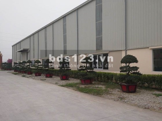 Cho thuê kho xưởng DT 1200m2, 1800m2, 2400m2, 7000m2 Kcn Phố Nối A, Văn Lâm, Hưng Yên.