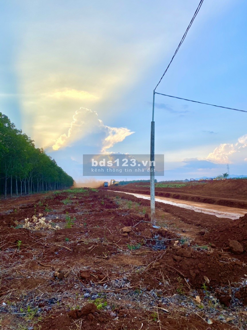 Cơ hội sinh lời từ đất nền trung tâm hành chính Đăk Đoa, Gia Lai