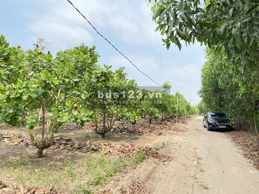 1600m2 đất Phước Bình (40X40), sổ hồng, đường hiển thị trên sổ, chính chủ, giá rẻ, vị trí đẹp, đầu tư sinh lời ngay