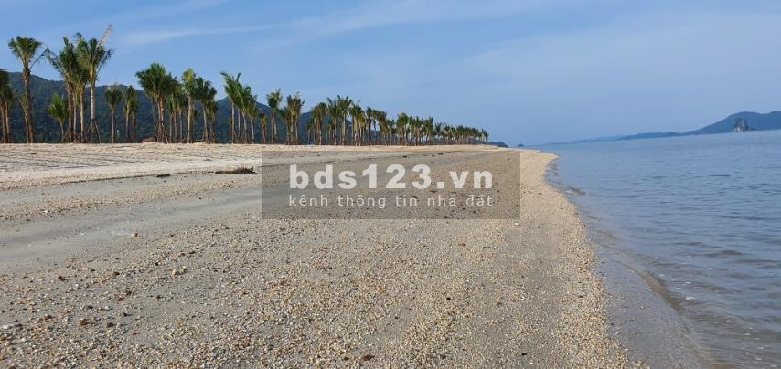 Shoptel Sonasea Vân Đồn Habor City sỏ đỏ lâu dài, nhận quà liền tay lên đến 450 triệu.