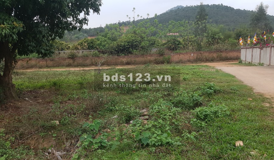 Cần bán đất ở và vườn lâu năm 2500m giá rẻ