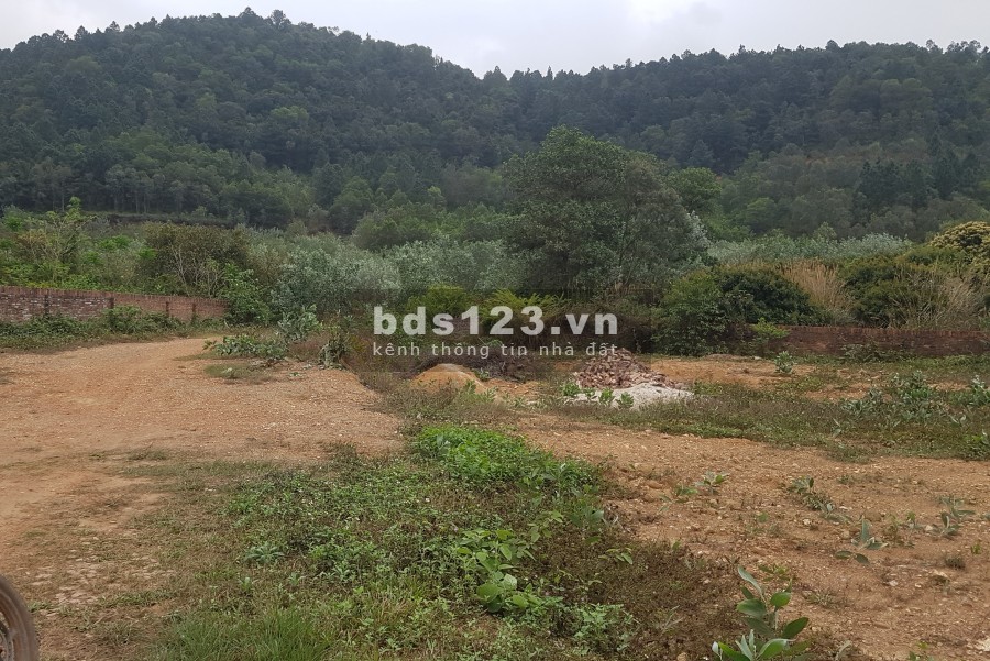 Cần bán đất ở và vườn lâu năm 2500m giá rẻ