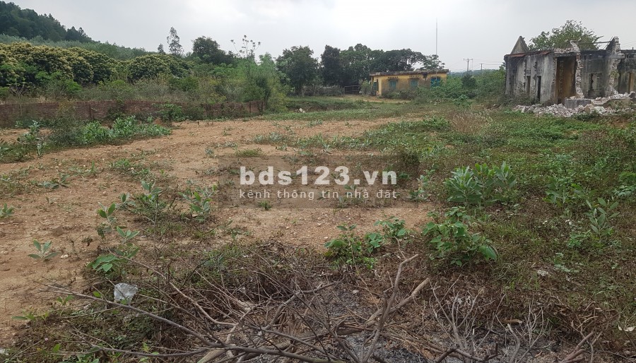 Cần bán đất ở và vườn lâu năm 2500m giá rẻ