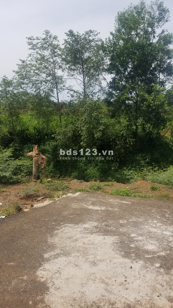 Bán đất ngộp 500m2 gần nhà thờ thánh mẫu,1 tỷ 2 có thương lượng