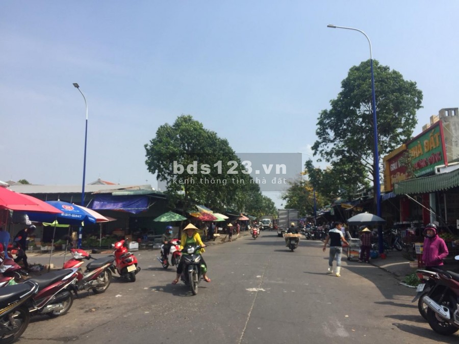 Bán Đất Tại Làng ĐH Việt Đức và ĐH Thủ Dầu Một, Sát Cụm KCN ViSip,T.Cư,Shr - Giá 6Tr/m2