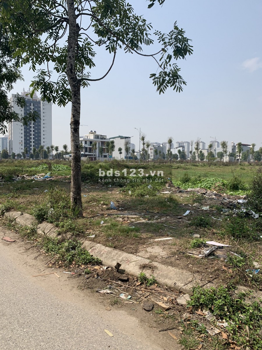 Muốn bán biệt thự bt2 lô 8 và bt2 lô 04 khu a thanh hà cienco, chính chủ giá rẻ