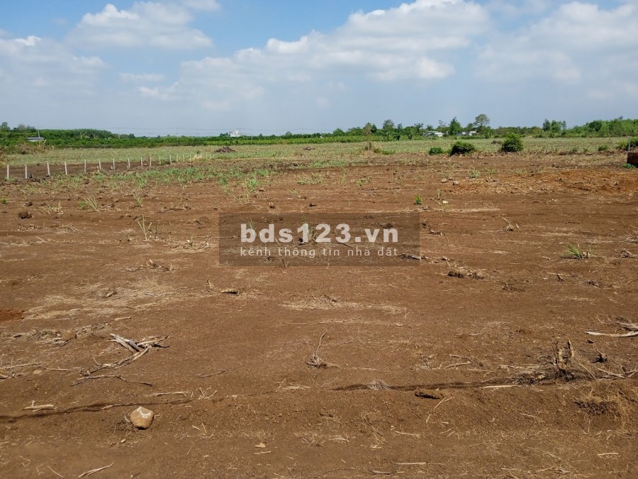 Cần tiền bán gấp 1000m2 đất Hưng Thịnh, Trảng Bom