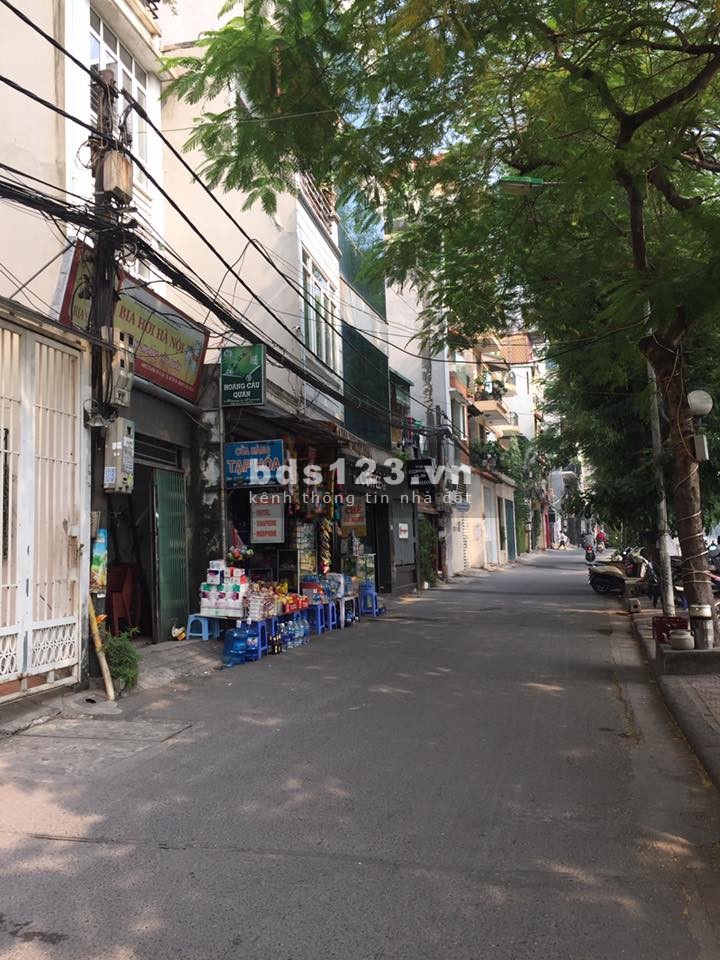 Bán nhà 5 tầng thang máy mới xây MP Mai Anh Tuấn, mặt hồ Hoàng Cầu 50m2 giá 14 tỷ. LH 0912442669