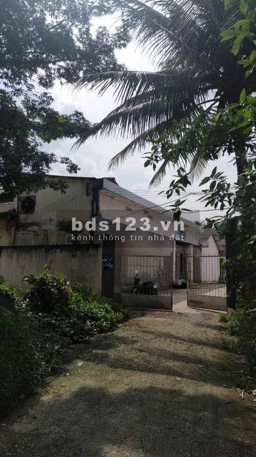 Bán nhà xưởng giá rẻ tại thành phố Bến Tre, đang cho thuê 60trieu/tháng