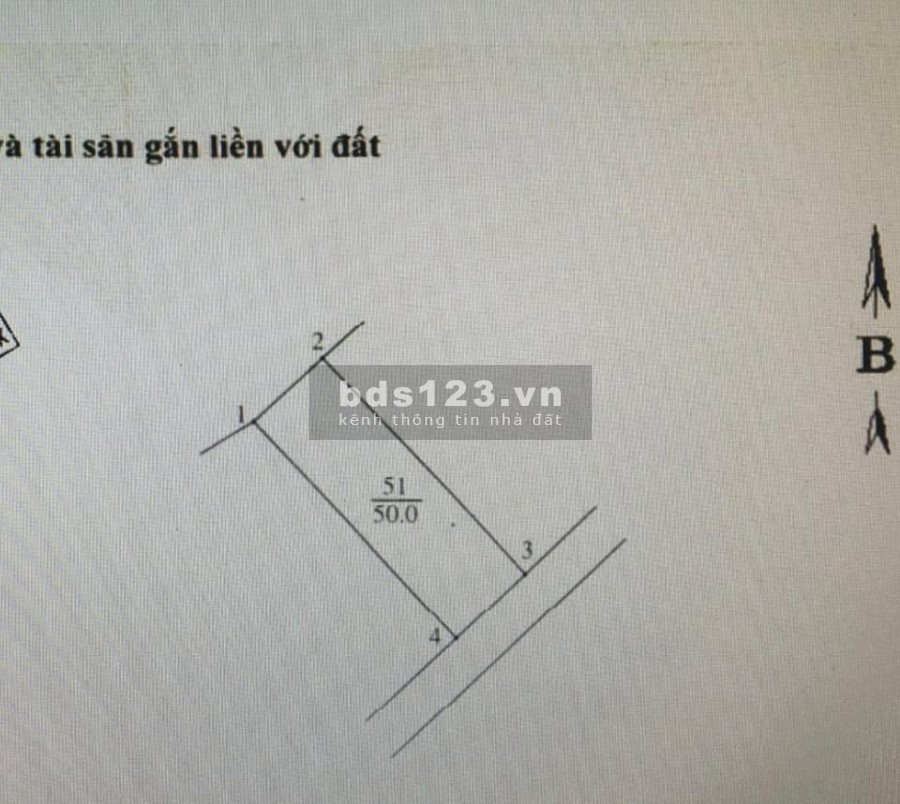 Bán gấp nhà đường Bồ Đề 50m2 x 4 tầng, 4m mặt tiền, giá 5 tỷ. Kinh doanh, Ô tô, gần hồ.