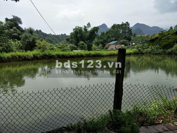 Cần bán đất Đội 15 xã Thanh Xương, huyện Điện Biên, tỉnh Điện Biên