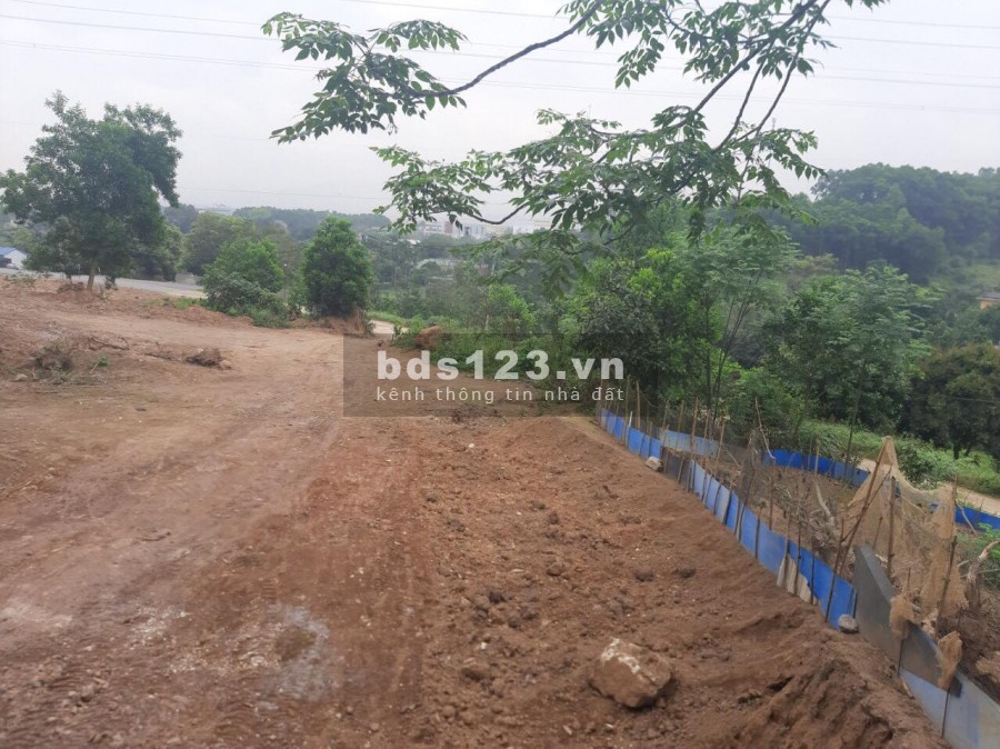 BÁN ĐẤT LƯƠNG SƠN HB - 2500M BÁM ĐƯỜNG NHỰA 40M, GIÁ 2,3 TRIỆU/M