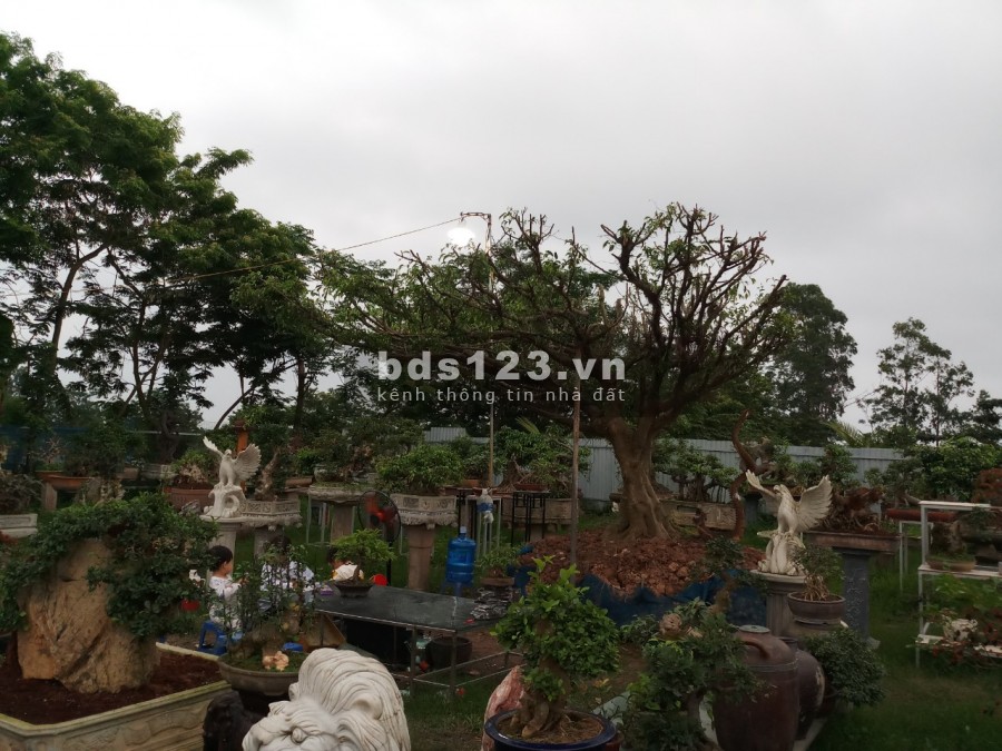BÁN ĐẤT NGỌC HỒI Ô TÔ ĐỖ KINH DOANH THUẬN TIỆN