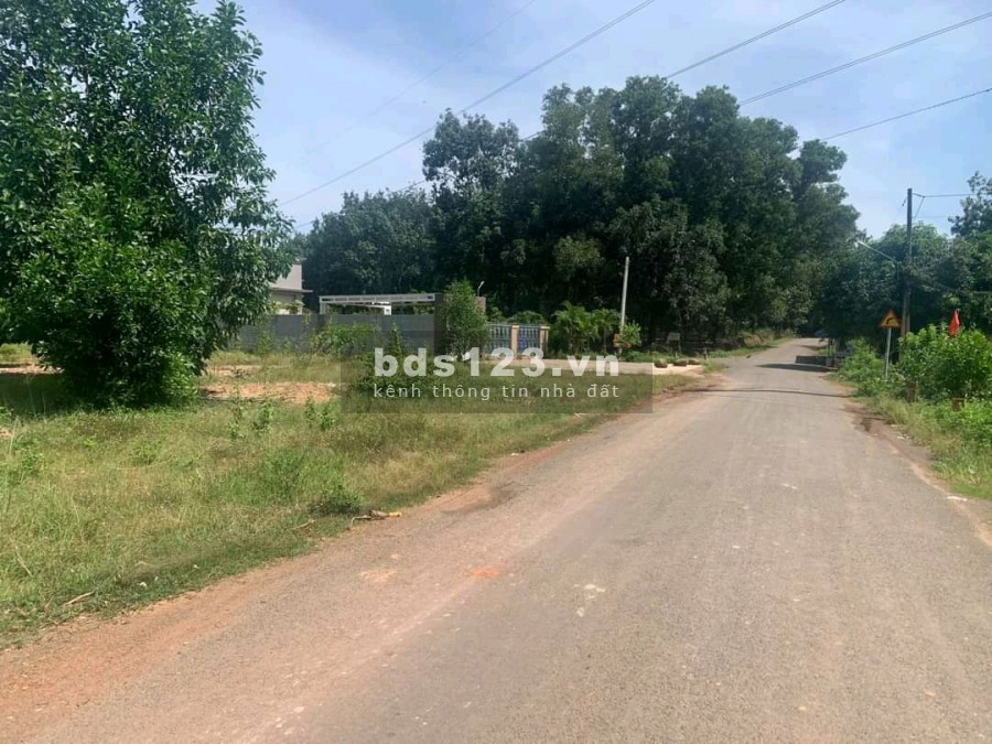 Bon chen 2 năm tích góp được 2000m2, giờ về quê sinh sông cần bán gấp.