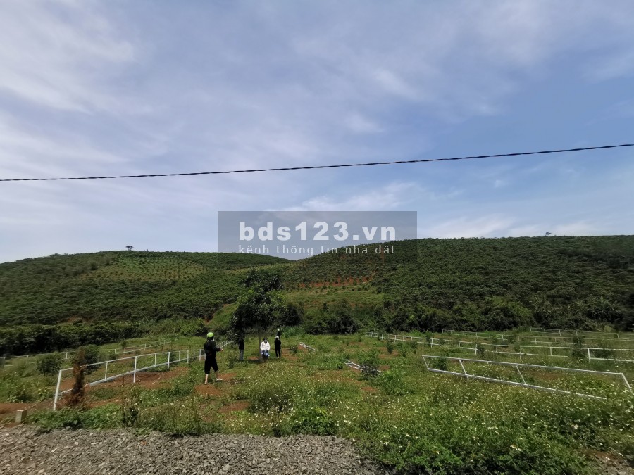 Bán đất khu vực Lộc Nga, view núi Đại Bình diện tích 555m2, giá 900tr/nền.