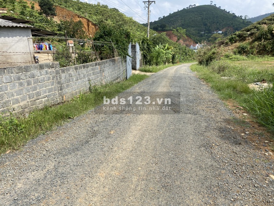 Bán lô đất thôn 6 Xã Đại Lào thành phố Bảo Lộc