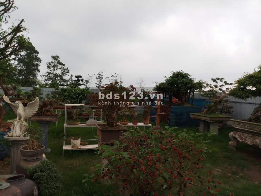 BÁN ĐẤT NGỌC HỒI Ô TÔ ĐỖ KINH DOANH THUẬN TIỆN