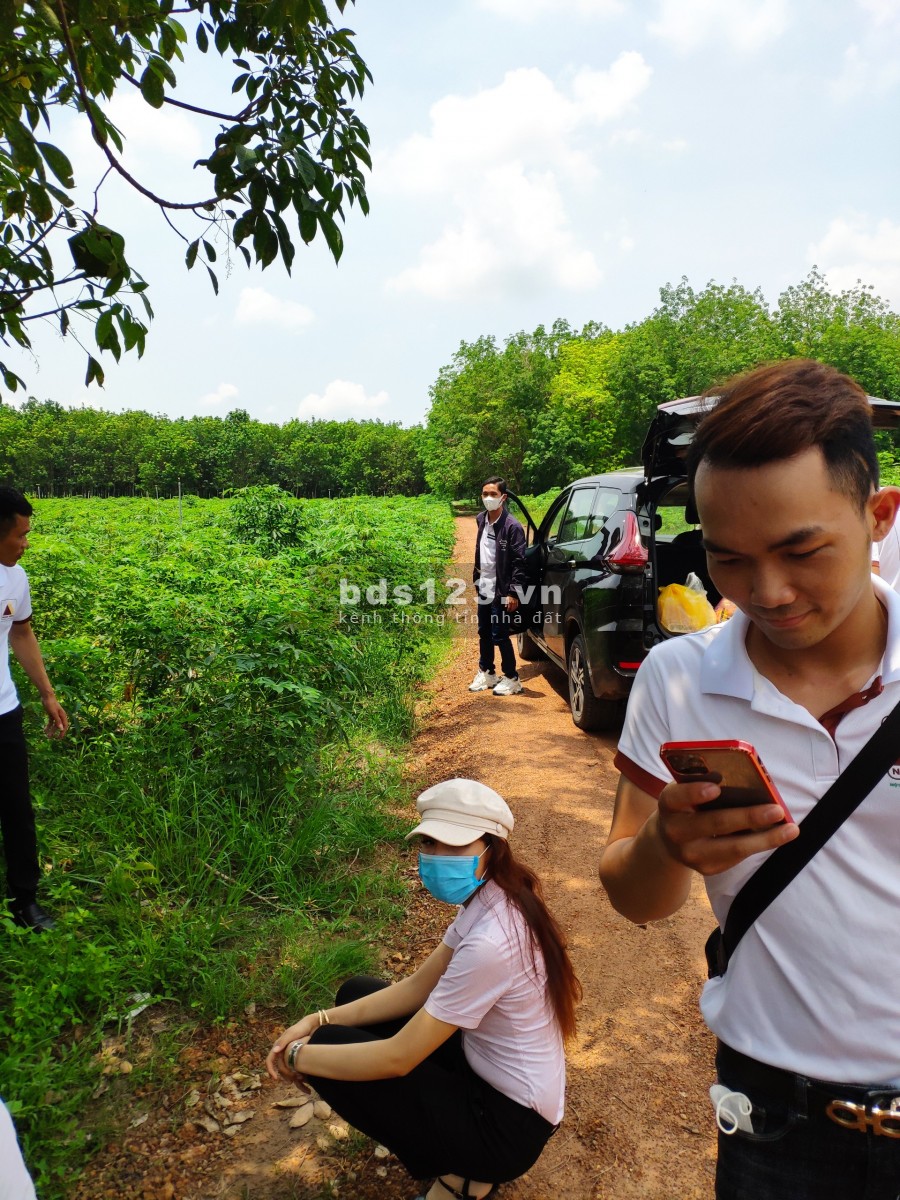 Đất Tân Hiệp, Tân Châu, Tây Ninh