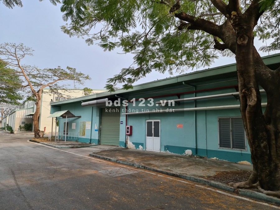 Cho thuê kho xưởng 2000m2 MT Tăng Nhơn Phú, Phước Long B, Quận 9
