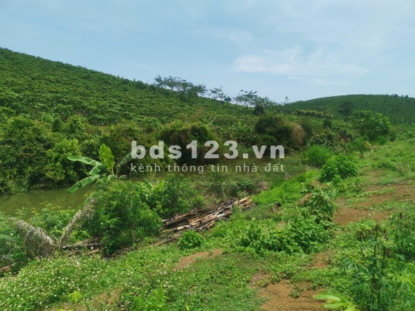 Bán đất khu vực Lộc Nga, view núi Đại Bình diện tích 555m2, giá 900tr/nền.