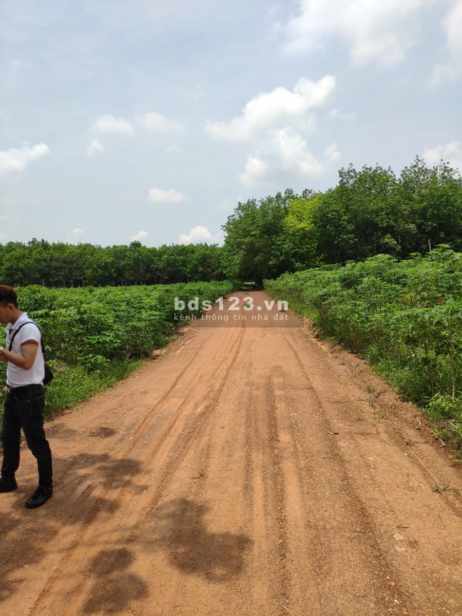 Đất Tân Hiệp, Tân Châu, Tây Ninh