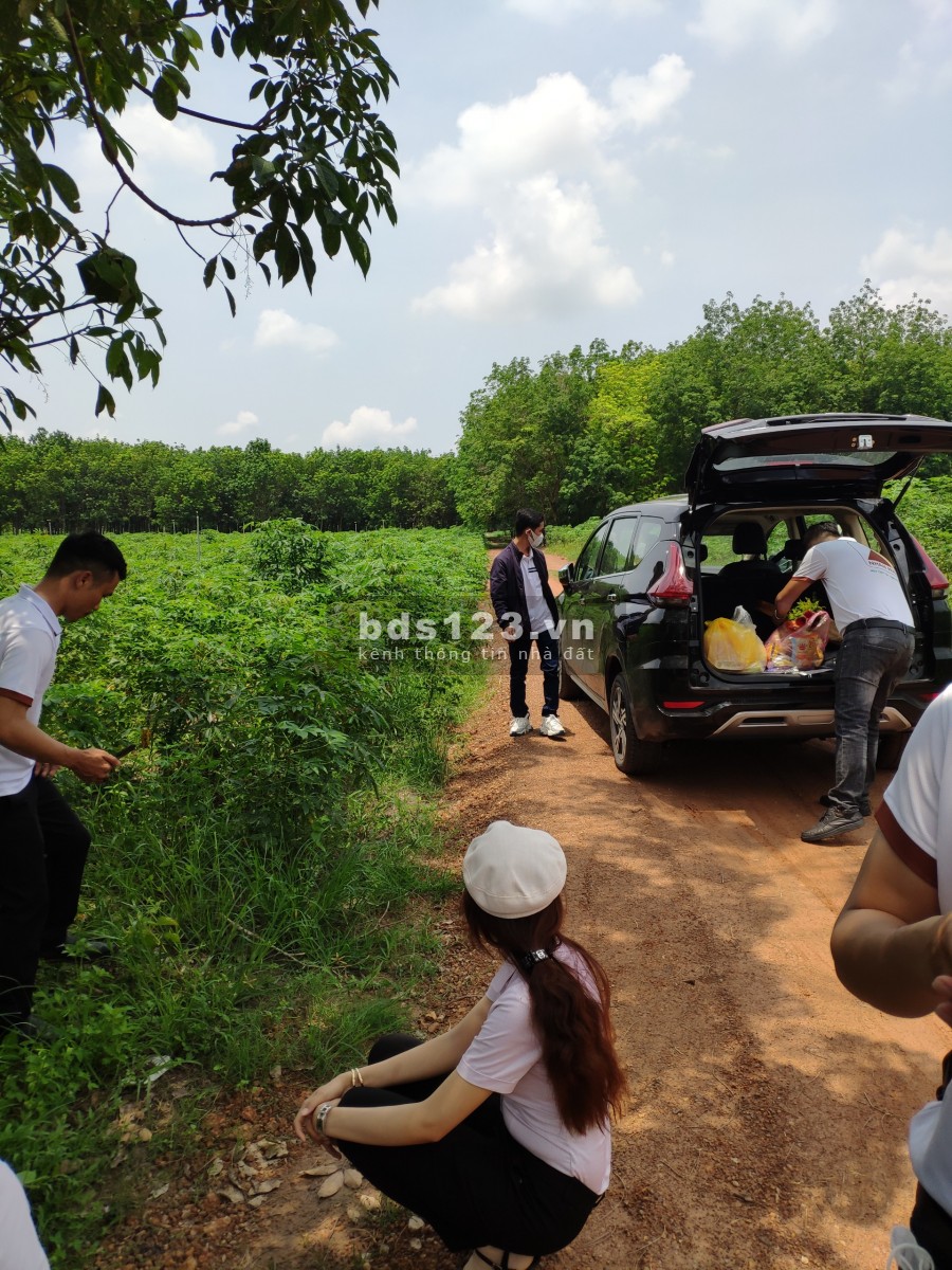 Đất Tân Hiệp, Tân Châu, Tây Ninh