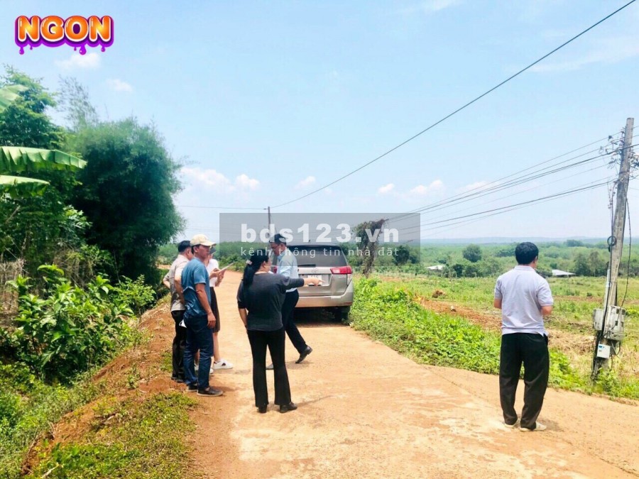 ĐẤT DÂN SỔ SẴN GIÁ HỢP LÝ CHO ANH CHỊ XÂY NHÀ Ở NHÀ VƯỜN
