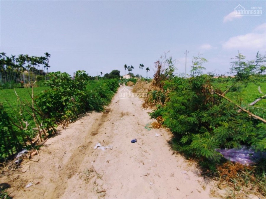 Bán 1400m2 đất khu dân cư biển hoà thắng ,lên thổ cư giá 1,4 tr/m2