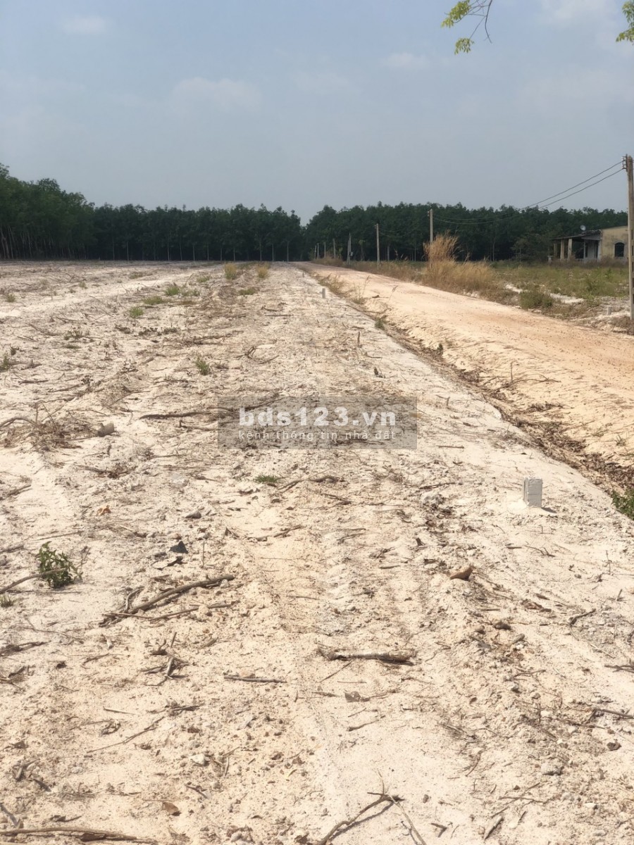 ĐẤT THẬT, SỔ THÂT 1200M2 TẠI TÂN CHÂU, TÂY NINH CHỈ 640 TRIÊU.