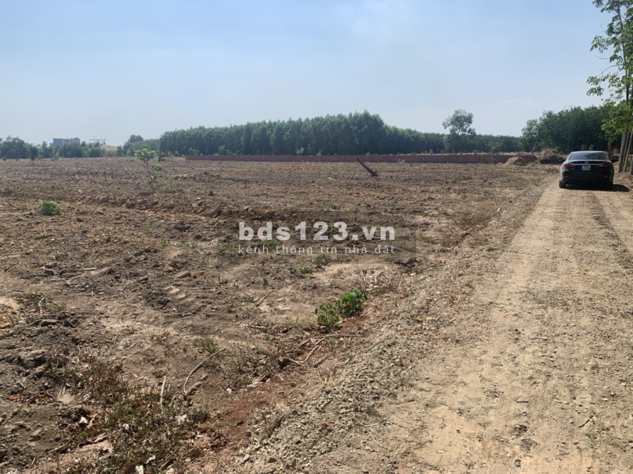 Đất SKC+ ONT Long Thành xây dựng, kinh doanh ngay sau 15 ngày