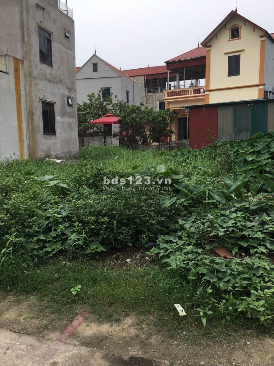 BÁN ĐẤT THỔ CƯ HUYỆN THƯỜNG TÍN, VỊ TRÍ ĐẸP, DT 88.8M, Giá: 1.25 tỷ.