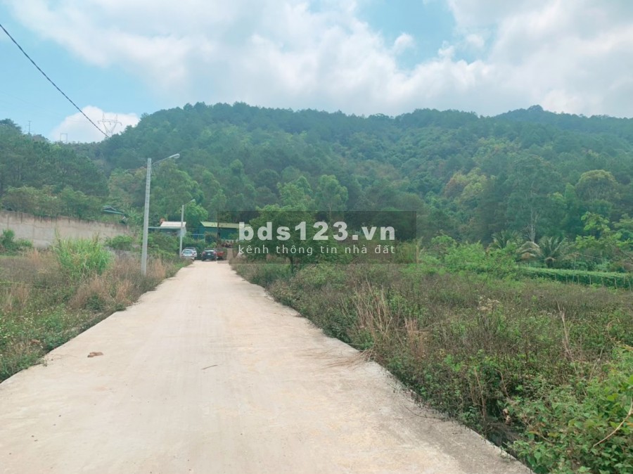 Bán lô đất thổ cư trung tâm TT. Thị trấn Liên Nghĩa tại cầu Cao Thái Liên Nghĩa Đức Trọng giá 830 triệu