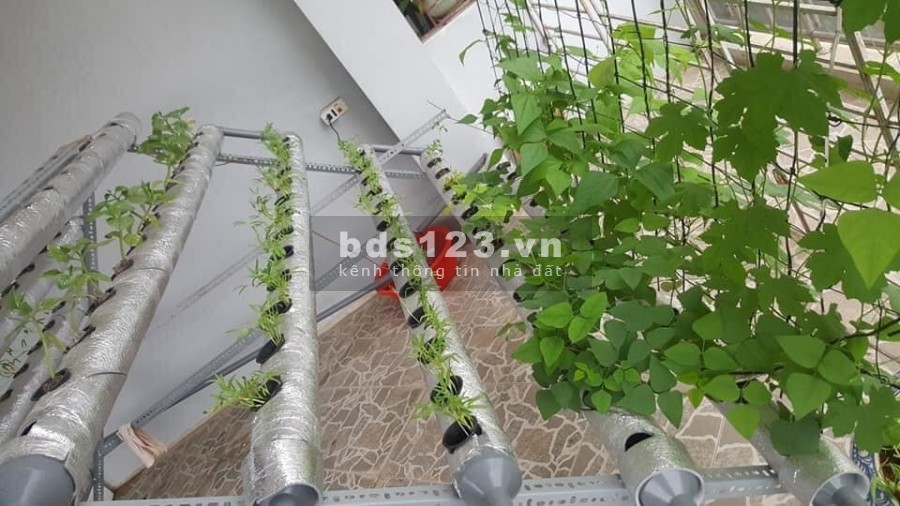 85m2 Hà Đông - Lô Góc - Ngõ Thông - Nở Hậu