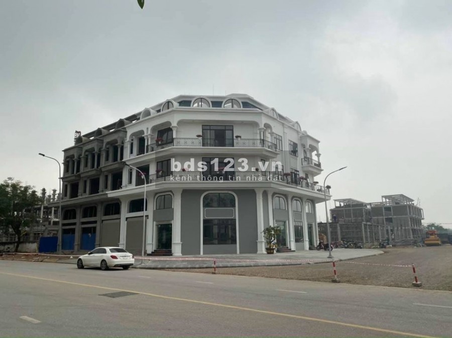 DỰ ÁN KHU NHÀ Ở LIỀN KỀ SHOPHOUSE 319 UY NỖ - ĐÔNG ANH