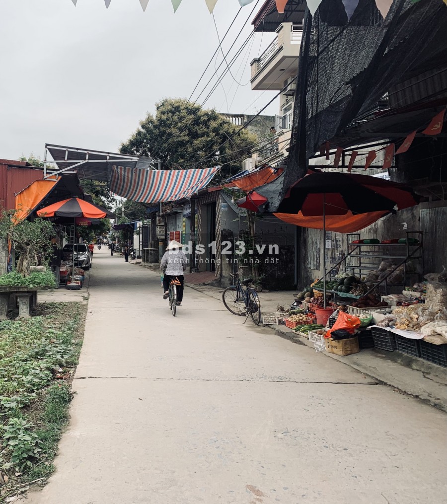 Cho thuê đất ngõ Chợ Chiều, An Vĩ, Khoái Châu, Hưng Yên