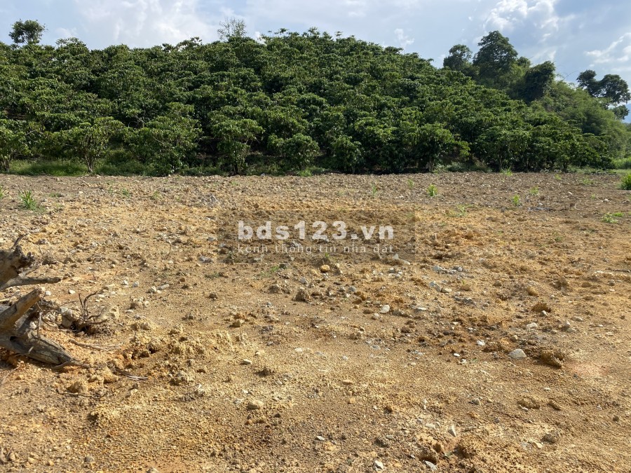 Bán lô đất thôn 11 Xã Đại Lào thành phố Bảo Lộc